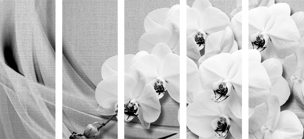 Quadro in 5 parti orchidee su tela in bianco e nero