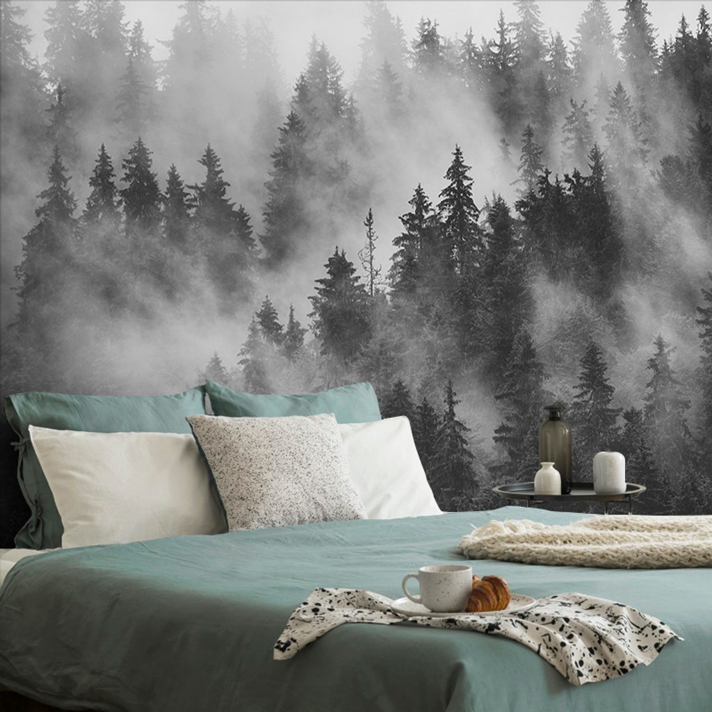 Fototapete Wald in schwarz-weißem Nebel | Dovido.de