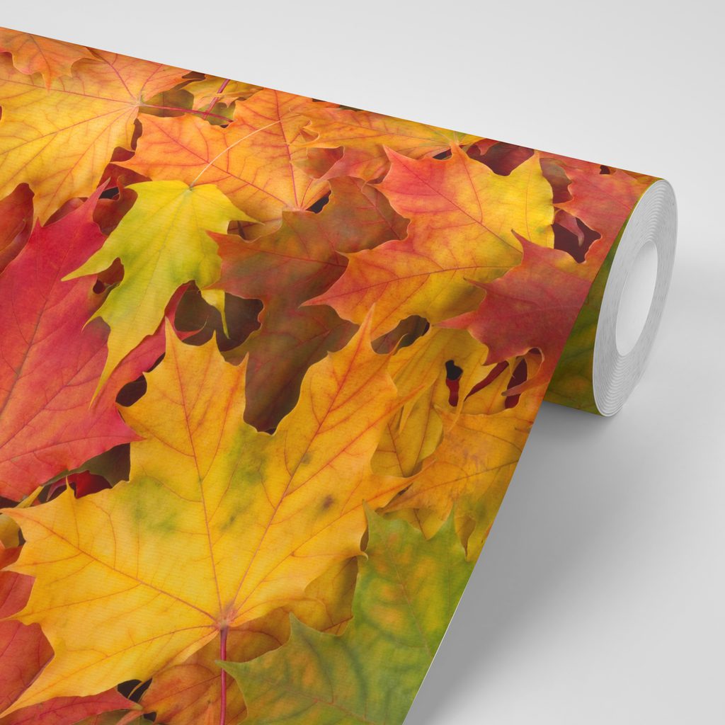 Foglie d'autunno carta adesiva per mobili