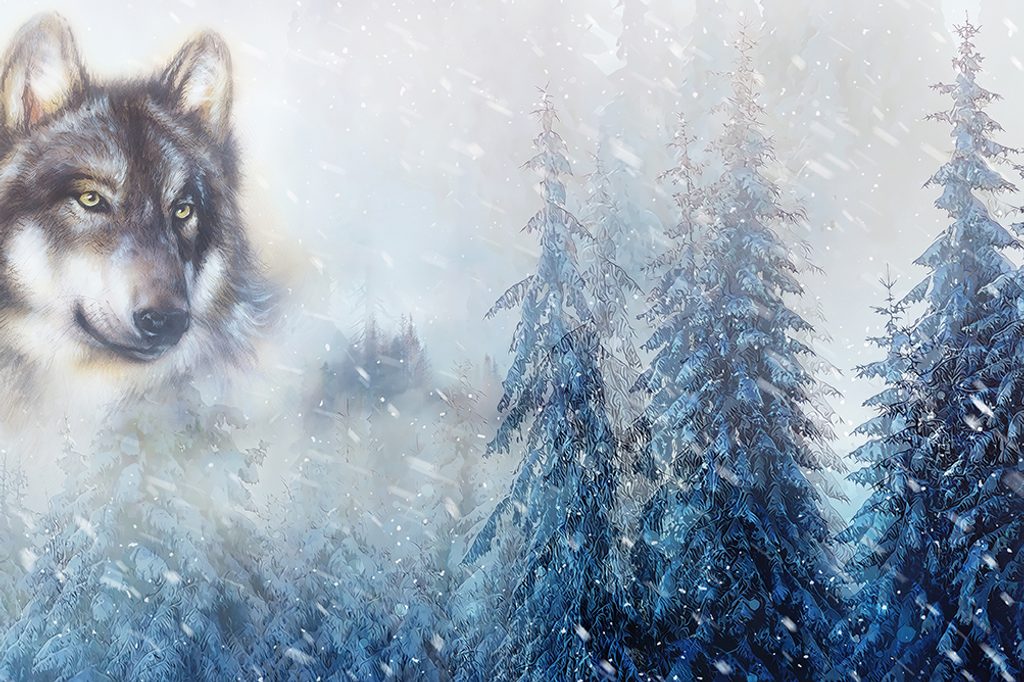 Tapeta vuk u snježnom krajoliku | Dovido.hr