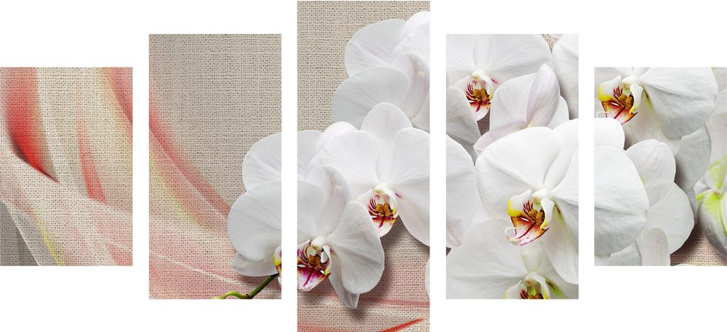 5 részes kép fehér orchidea vásznon | Dovido.hu