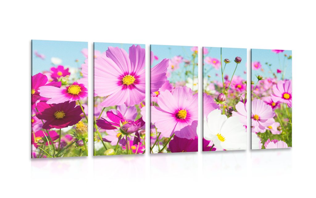 5-dijelna slika livada s proljetnim cvijećem | Dovido.hr