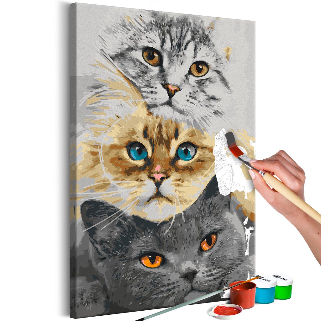 Obraz maľovanie podľa čísiel roztomilé mačky - Cat's Trio | Dovido.sk