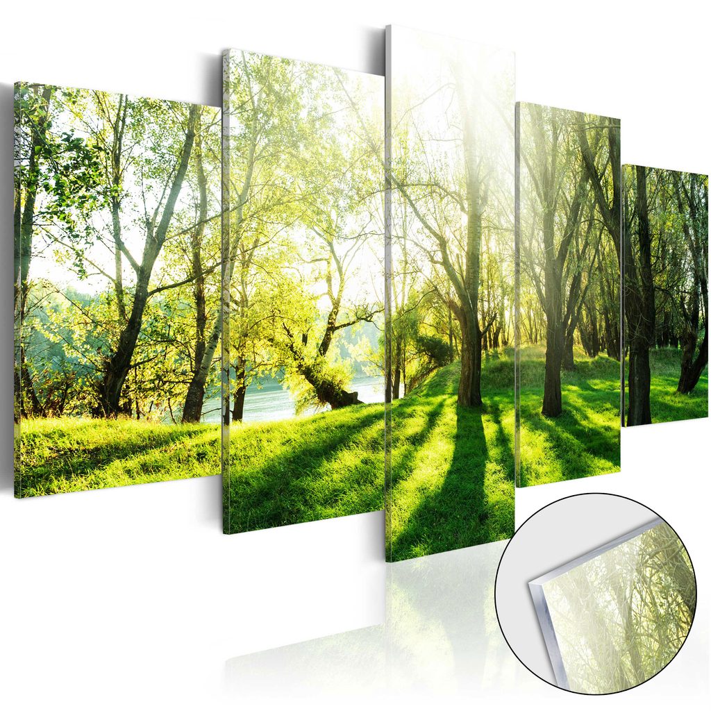 Obraz sýtozelený les na akrylátovom skle - Green Glade | Dovido.sk