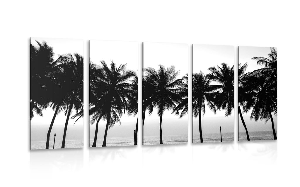 Quadro in 5 parti tramonto sugli alberi di palma in bianco e nero