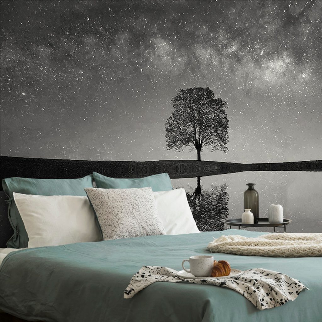 Fotótapéta fekete-fehér csillagos ég egy magányos fa felett | Dovido.hu