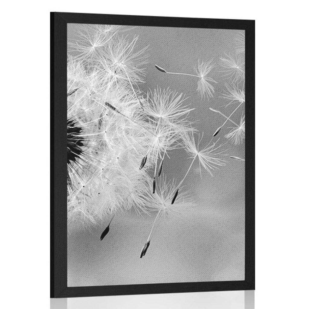 Poster Magische Pusteblume in Schwarz-Weiß