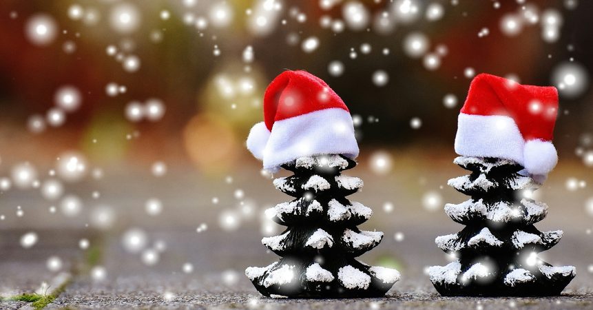 Jak vybrat ten správný vánoční stromeček?
