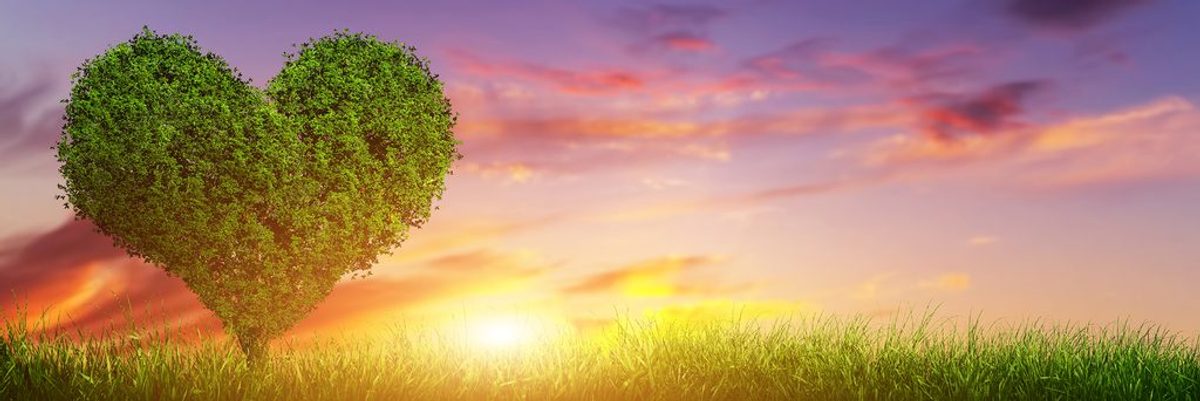 Rendkívüli Valentin napi ajándék amivel boldogságot okozunk szeretteinknek!