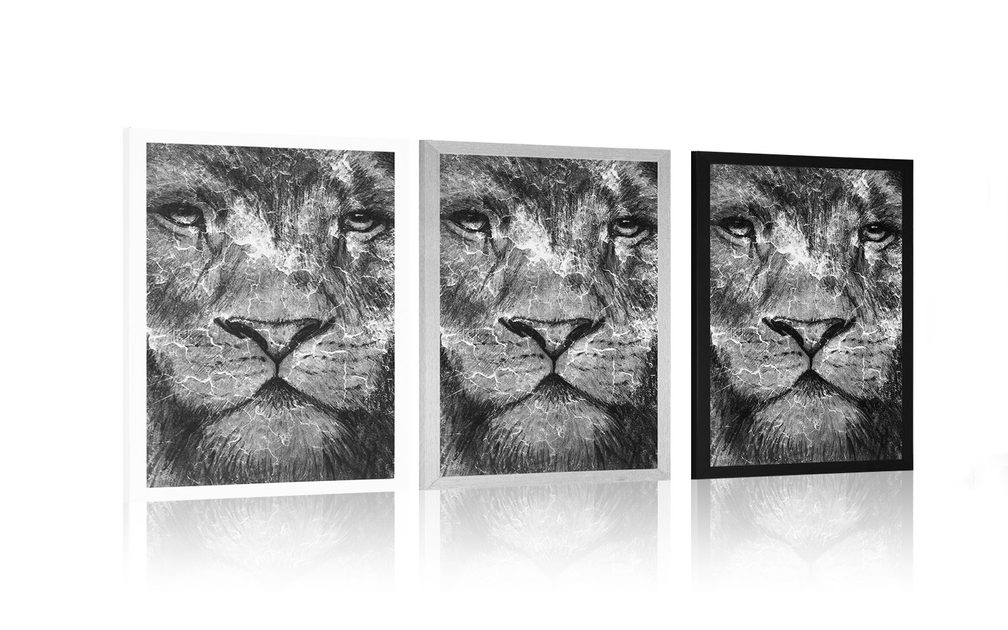 Poster Gesicht in eines Schwarz-Weiß Löwen
