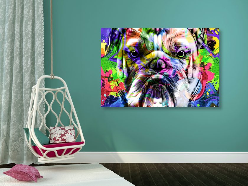 Kép pop art francia bulldog | Dovido.hu