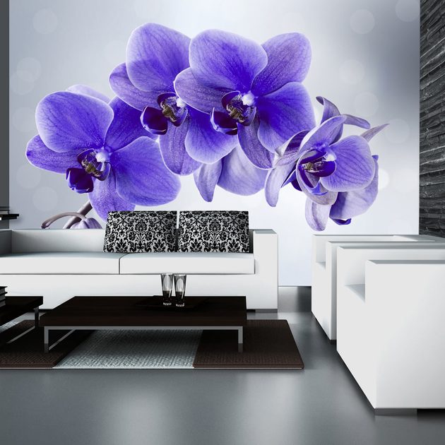 Öntapadó tapéta lila orchidea - Parting hour | Dovido.hu