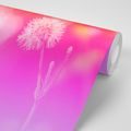WALLPAPER DANDELION ON A PINK BACKGROUND - WALLPAPERS FLOWERS - WALLPAPERS