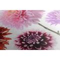 CANVAS PRINT DAHLIA FLOWERS IN A MULTI-COLORED DESIGN - PICTURES FLOWERS - PICTURES