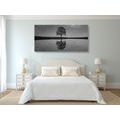 CANVAS PRINT STARRY SKY ABOVE A LONELY TREE IN BLACK AND WHITE - BLACK AND WHITE PICTURES - PICTURES