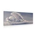 CANVAS PRINT SLEEPING ANGEL - PICTURES OF ANGELS - PICTURES