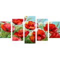 IMPRESSION SUR TOILE EN 5 PARTIES COQUELICOTS ROUGES DANS UN CHAMP - IMPRESSIONS SUR TOILE FLEURS - IMPRESSION SUR TOILE