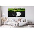 CANVAS PRINT YIN AND YANG SYMBOL - PICTURES FENG SHUI - PICTURES