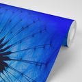 SELF ADHESIVE WALLPAPER BLUE DANDELION - SELF-ADHESIVE WALLPAPERS - WALLPAPERS