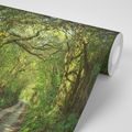 SELF ADHESIVE WALL MURAL FAIRYTALE FOREST - SELF-ADHESIVE WALLPAPERS - WALLPAPERS
