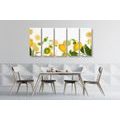 5-PIECE CANVAS PRINT MIX OF CITRUS FRUITS - PICTURES OF FOOD AND DRINKS - PICTURES