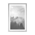 AFFICHE AVEC MONTURE BROUILLARD SUR LA FORÊT EN NOIR ET BLANC - NOIR ET BLANC - AFFICHES