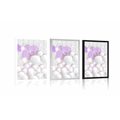 POSTER ORCHID ON AN ABSTRACT BACKGROUND - FLOWERS - POSTERS