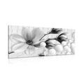 CANVAS PRINT BLACK AND WHITE MAGNOLIA WITH ABSTRACT ELEMENTS - BLACK AND WHITE PICTURES - PICTURES