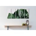 5-TEILIGES WANDBILD MONSTERA-BLATT - STILLLEBEN-BILDER - BILDER