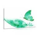 CANVAS PRINT FEATHER WITH A BUTTERFLY IN GREEN DESIGN - STILL LIFE PICTURES{% if product.category.pathNames[0] != product.category.name %} - PICTURES{% endif %}