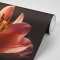 SELF ADHESIVE WALL MURAL LILY ON A BLACK BACKGROUND - SELF-ADHESIVE WALLPAPERS - WALLPAPERS