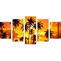 5-PIECE CANVAS PRINT COCONUT TREES ON A BEACH - PICTURES OF NATURE AND LANDSCAPE - PICTURES