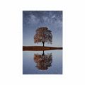 POSTER STARRY SKY ABOVE A LONELY TREE - NATURE - POSTERS