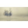 CANVAS PRINT TREES IN A FOG - PICTURES OF NATURE AND LANDSCAPE - PICTURES