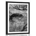 POSTER – ALBERI SURREALISTI IN BIANCO E NERO - NERO E BIANCO - POSTER