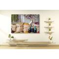 CANVAS PRINT MEDICINAL HERBS - PICTURES OF FOOD AND DRINKS - PICTURES