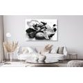 CANVAS PRINT BEAUTIFUL INTERPLAY OF STONES AND ORCHIDS IN BLACK AND WHITE - BLACK AND WHITE PICTURES - PICTURES