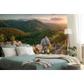 WALL MURAL NATURE BATHED IN THE SUN - WALLPAPERS NATURE - WALLPAPERS