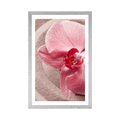 POSTER WITH MOUNT SEA SAND AND A PINK ORCHID - FLOWERS - POSTERS