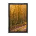 POSTER WEG ZUM WALD - NATUR - POSTER