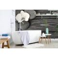 SELF ADHESIVE WALL MURAL BLACK AND WHITE STONES ON WOOD - SELF-ADHESIVE WALLPAPERS - WALLPAPERS