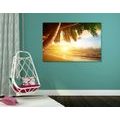 TABLEAU SUR TOILE – LEVER DE SOLEIL SUR UNE PLAGE DES CARAÏBES - TABLEAUX DE LA NATURE ET DES PAYSAGES - TABLEAUX