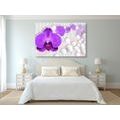 CANVAS PRINT ORCHID ON AN ABSTRACT BACKGROUND - PICTURES FLOWERS - PICTURES