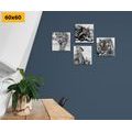 CANVAS PRINT SET ANIMALS IN BLACK AND WHITE WATERCOLOR DESIGN - SET OF PICTURES - PICTURES