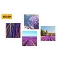 CANVAS PRINT SET LAVENDER FIELDS WITH BEAUTIFUL ABSTRACTION - SET OF PICTURES - PICTURES