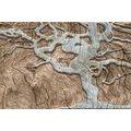 SELF ADHESIVE WALLPAPER ABSTRACT TREE ON WOOD IN BEIGE - SELF-ADHESIVE WALLPAPERS - WALLPAPERS