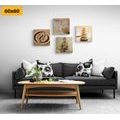 BILDER-SET FENG SHUI IN BEIGE - BILDERSETS - BILDER