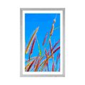 AFFICHE AVEC MONTURE HERBE SAUVAGE SOUS UN CIEL BLEU - NATURE - AFFICHES