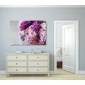 CANVAS PRINT LILAC IN SHADES OF PINK - PICTURES FLOWERS - PICTURES