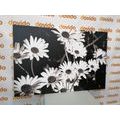 IMPRESSION SUR TOILE MARGUERITES DANS UN JARDIN EN NOIR ET BLANC - IMPRESSIONS SUR TOILE NOIR ET BLANC - IMPRESSION SUR TOILE